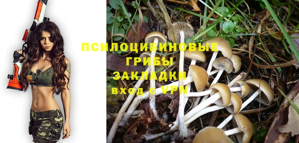2c-b Абдулино
