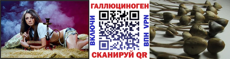 закладка Разумное мориарти как зайти Псилоцибиновые грибы GOLDEN TEACHER MEGA ONION